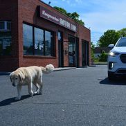 Longmeadow Motor Cars Inc