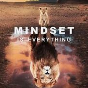 American Behavioral Counseling, LLC