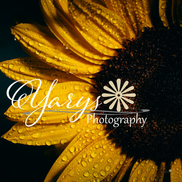 Yarys Photography, Howey in the Hills FL
