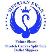 Siberian Swan Pointe Ballet Shoes