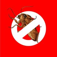 Saskatoon Pest Busters