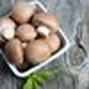 Monterey Mushrooms Inc.