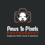 Paws to Pixels Photography 