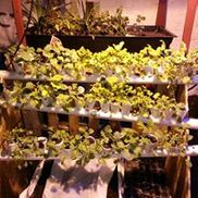 Roseland Community Development Corp