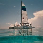 reef roamer catamaran sail and snorkel trips reviews