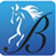 Bridlewood Medicare Insurance
