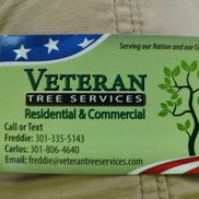 Veteran Tree Services