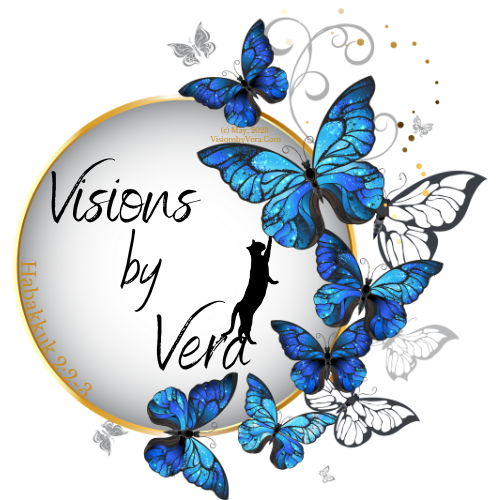 Visions by Vera LLC, New Salisbury IN