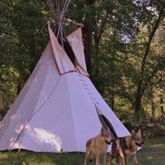 native wolf productions, Lansing MI