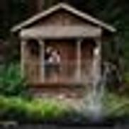 Paradise Springs LLC