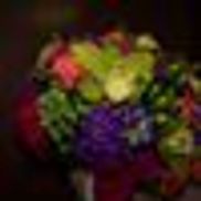 Creative Petal Designs