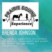 Prairie Equine Experience