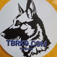 Tampa Bay Retired Police K9 Foundation