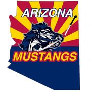 Arizona Mustangs Hockey