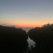 Bayhead Ecological Solutions, LLC