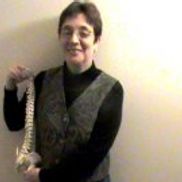Dr. Ellen Wolk Chiropractor