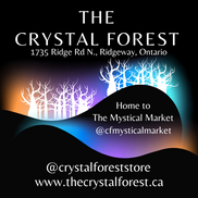 The Crystal Forest