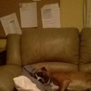 pops &chip's custom painting, Frederick MD