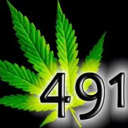 491