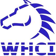 Work Horse Construction Inc