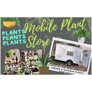 Plants, Plants, Plants