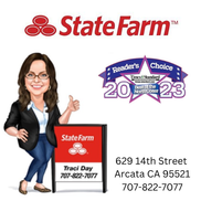 Traci Day - State Farm Insurance Agent