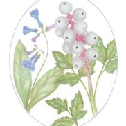 Amanda's Native Garden LLC