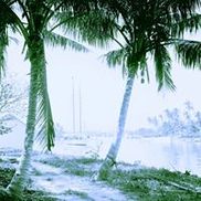 Florida Legacy Productions