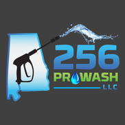 256 ProWash LLC