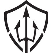 Trident Professional Security