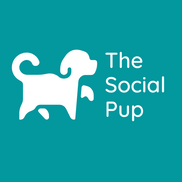 The Social Pup
