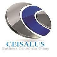 Ceisalus consultant group