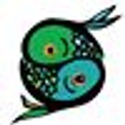 the twisted fish