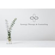 Synergy Therapy and Counseling LLC