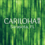 $100 Off Resort Bamboo Sheets by Cariloha Bamboo Sarasota in Sarasota ...