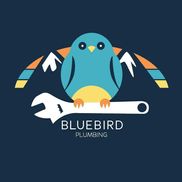 Bluebird plumbing & Drain Cleaning