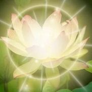 Serenity Alive LLC @ We Care Counseling