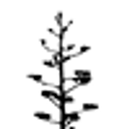 Jones-Wood Psychological Associates, Inc.