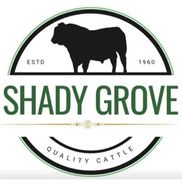 Shady Grove Beef