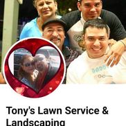 Tony's lawn services