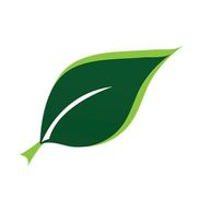 Go Green Furnace Clean