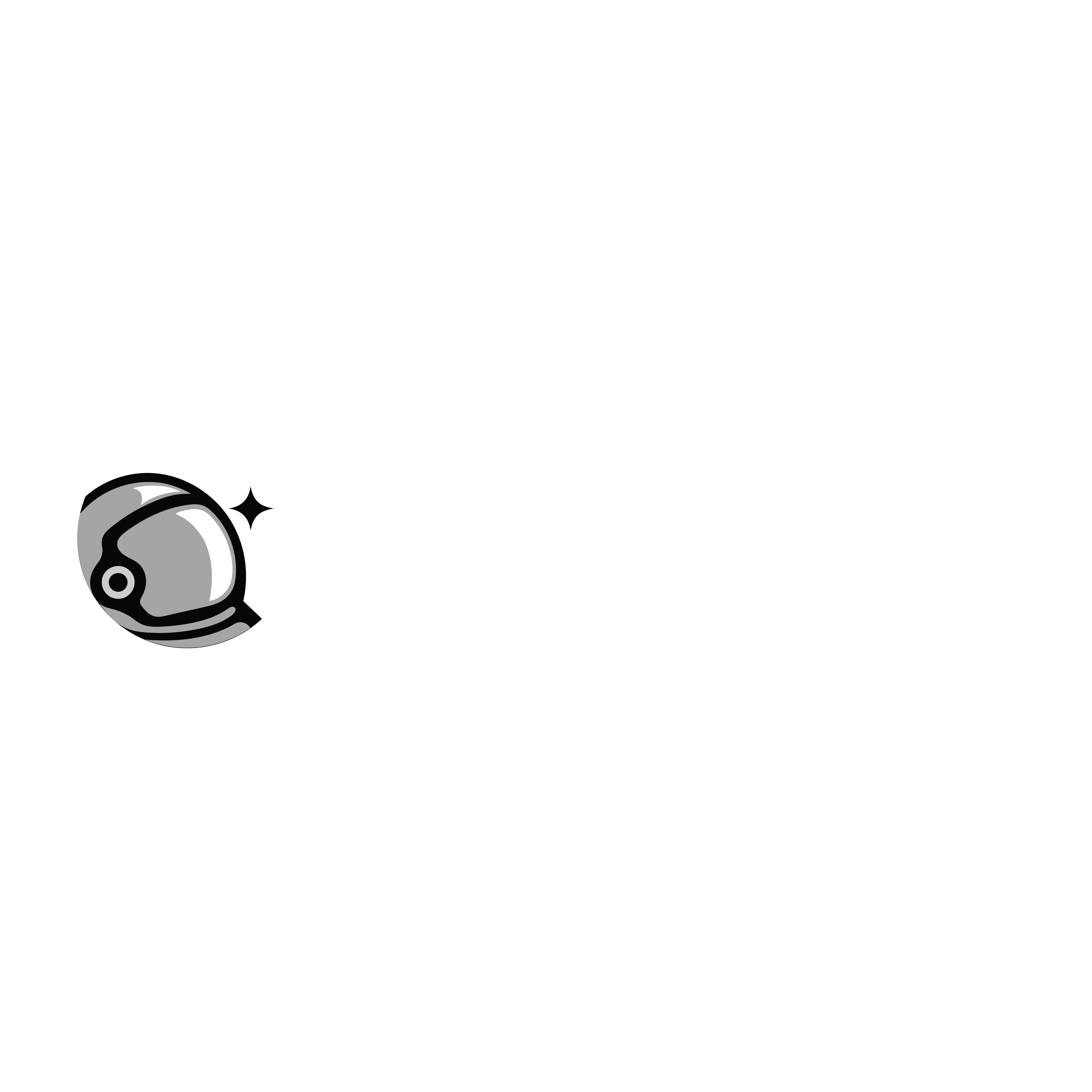 Stellify Inc, New York NY