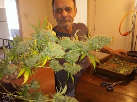 Jay Deez's Herbs, Lansing MI