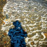 Robinsview Photography by Sherwood Frazier