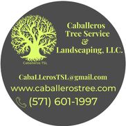 Caballeros Tree Service & Landscaping, LLC.