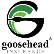Goosehead Insurance - The Gould Agency