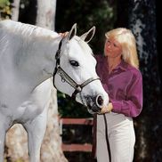 Wood-N-Horse Training Stables