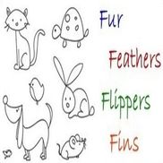FurFeathersFlippersFins