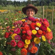 Willow Wisp Organic Farm
