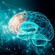 Brainspotting Trainings, LLC